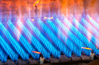 Bulkeley Hall gas fired boilers